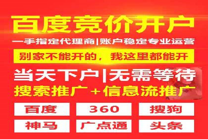 SEM广告投放的竞价策略与效果评估案例